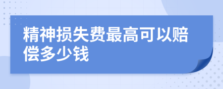 精神损失费最高可以赔偿多少钱