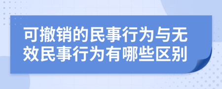 可撤销的民事行为与无效民事行为有哪些区别