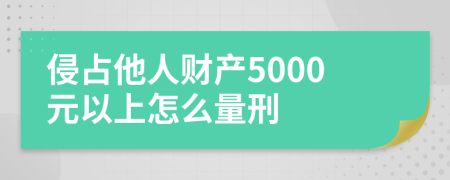 侵占他人财产5000元以上怎么量刑