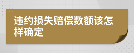 违约损失赔偿数额该怎样确定