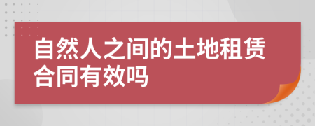 自然人之间的土地租赁合同有效吗