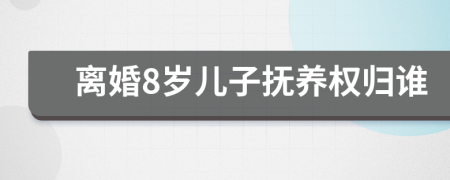 离婚8岁儿子抚养权归谁