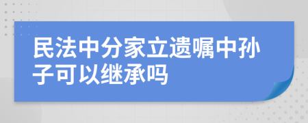 民法中分家立遗嘱中孙子可以继承吗