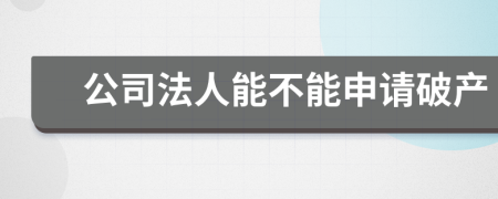 公司法人能不能申请破产