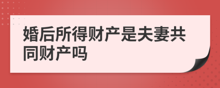 婚后所得财产是夫妻共同财产吗