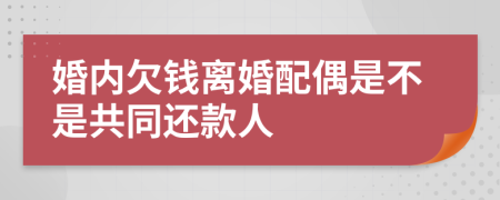 婚内欠钱离婚配偶是不是共同还款人
