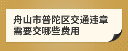 舟山市普陀区交通违章需要交哪些费用