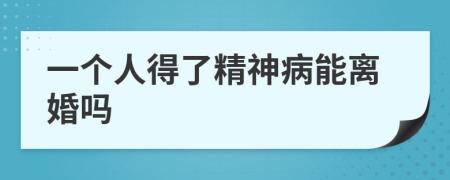 一个人得了精神病能离婚吗