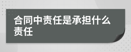 合同中责任是承担什么责任