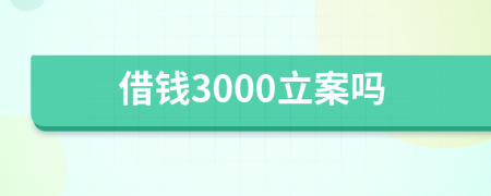 借钱3000立案吗