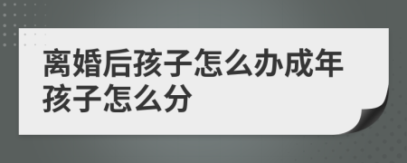 离婚后孩子怎么办成年孩子怎么分