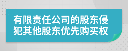 有限责任公司的股东侵犯其他股东优先购买权