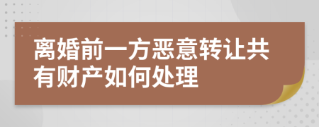 离婚前一方恶意转让共有财产如何处理