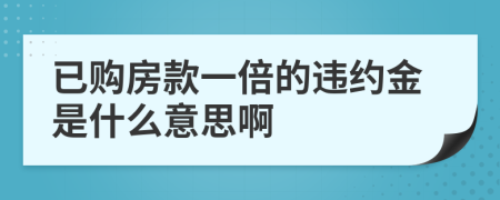 已购房款一倍的违约金是什么意思啊