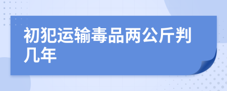 初犯运输毒品两公斤判几年