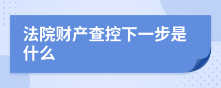 法院财产查控下一步是什么