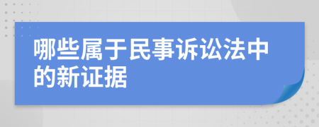 哪些属于民事诉讼法中的新证据