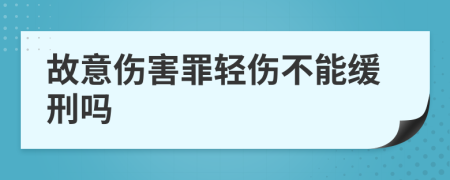 故意伤害罪轻伤不能缓刑吗