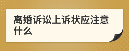 离婚诉讼上诉状应注意什么