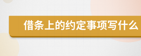 借条上的约定事项写什么
