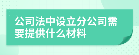 公司法中设立分公司需要提供什么材料