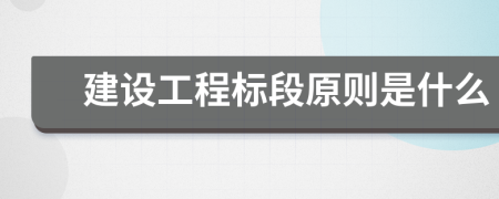 建设工程标段原则是什么