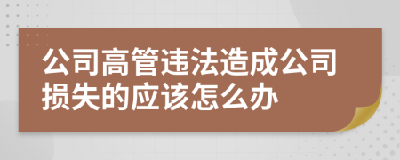 公司高管违法造成公司损失的应该怎么办