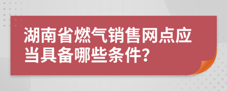 湖南省燃气销售网点应当具备哪些条件？