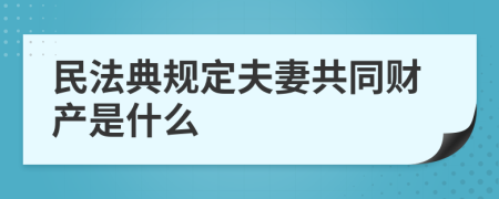 民法典规定夫妻共同财产是什么