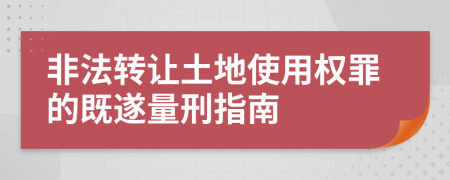 非法转让土地使用权罪的既遂量刑指南