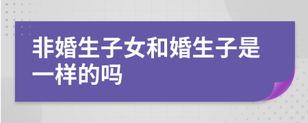 非婚生子女和婚生子是一样的吗