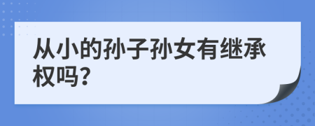 从小的孙子孙女有继承权吗？