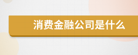 消费金融公司是什么