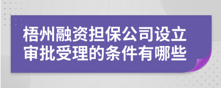 梧州融资担保公司设立审批受理的条件有哪些