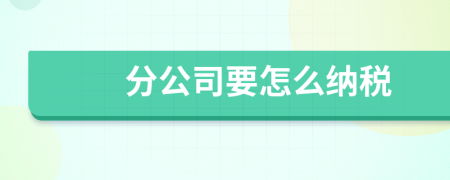 分公司要怎么纳税