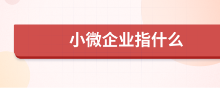 小微企业指什么