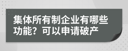 集体所有制企业有哪些功能？可以申请破产