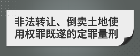 非法转让、倒卖土地使用权罪既遂的定罪量刑