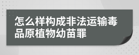 怎么样构成非法运输毒品原植物幼苗罪