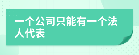 一个公司只能有一个法人代表