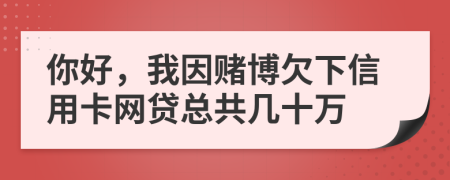 你好，我因赌博欠下信用卡网贷总共几十万