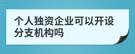 个人独资企业可以开设分支机构吗