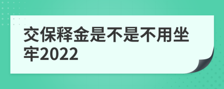 交保释金是不是不用坐牢2022