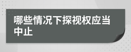 哪些情况下探视权应当中止