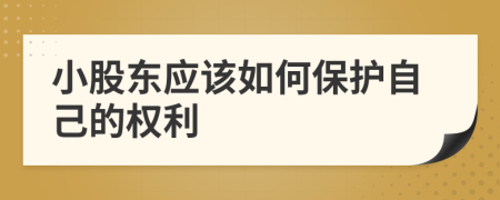 小股东应该如何保护自己的权利