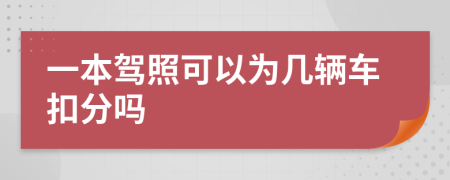 一本驾照可以为几辆车扣分吗