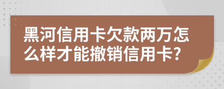 黑河信用卡欠款两万怎么样才能撤销信用卡?