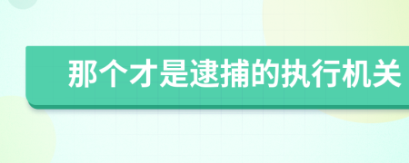 那个才是逮捕的执行机关