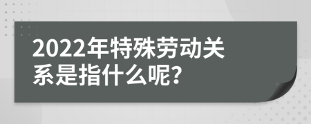 2022年特殊劳动关系是指什么呢？