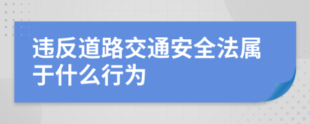 违反道路交通安全法属于什么行为